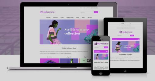 Picture of eCommerce Website Solution