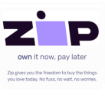 Zippay and Zipmoney